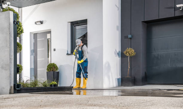 Best Fence Cleaning and Maintenance in Ravena, NY